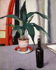 3655------Aspidistra and Bottle on Table_Francis Campbell Boileau Cadell