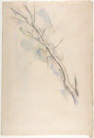 Studies of a tree (recto and verso)