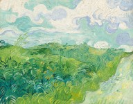 Green Wheat Fields, Auvers-ZYGR163323
