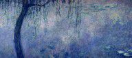 9555153_Waterlilies_Two_Weeping_Willows
