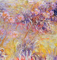 3782421-Claude Monet
