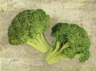 18129352 due-broccoletti-guido-borelli