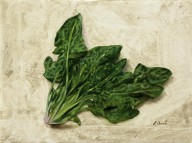 18136333 spinaci-guido-borelli