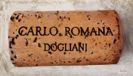 19291247 carlo-romana-dogliani-guido-borelli