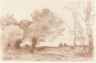 Willows and White Poplars (Saules et peupliers blancs)-ZYGR6013