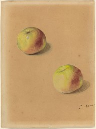 Two Apples-ZYGR66503