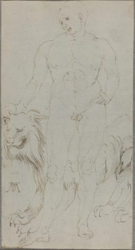 Male Nude with a Lion [verso]-ZYGR73853
