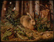 Hans Hoffmann (German A Hare in the Forest 
