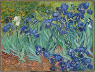 Gogh, Vincent van Irises 