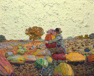 Jess - Figure 2-A Field of Pumpkins Grown for Seed Translation #11, 1965
