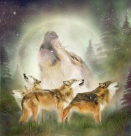 23296641 wolf-moon-rising-carol-cavalaris