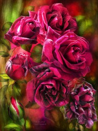 11751236 to-be-loved-red-rose-carol-cavalaris