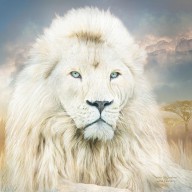12705610 white-lion-spirit-of-goodness-carol-cavalaris