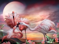 13428275 flamingo-kiss-carol-cavalaris