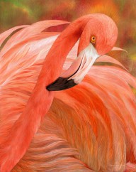 14409098 flamingo-spirit-of-balance-carol-cavalaris