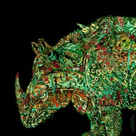 16083616 rhino-2-profile-organica-carol-cavalaris