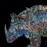 16083809 rhino-4-profile-organica-carol-cavalaris