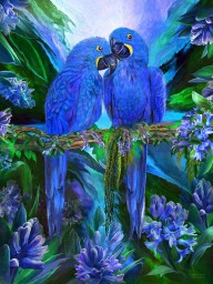 17415179 tropic-spirits-hyacinth-macaws-carol-cavalaris
