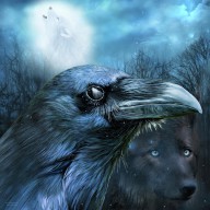 18581393 raven-and-wolf-in-the-moonlight-carol-cavalaris