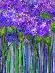 19285786 hydrangea-bloomies-1-purple-carol-cavalaris