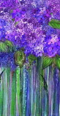19285795 hydrangea-bloomies-2-purple-carol-cavalaris