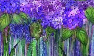 19285800 hydrangea-bloomies-3-purple-carol-cavalaris