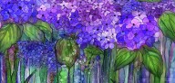 19285808 hydrangea-bloomies-4-purple-carol-cavalaris