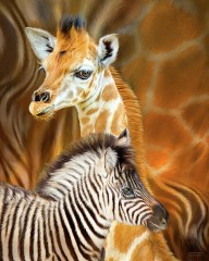 19997848 spots-and-stripes-giraffe-and-zebra-carol-cavalaris