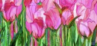 20503673 tulip-bloomies-4-pink-carol-cavalaris