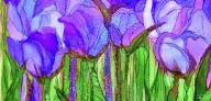 20503788 tulip-bloomies-4-purple-carol-cavalaris
