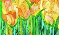 20503906 tulip-bloomies-3-yellow-carol-cavalaris