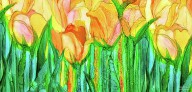 20503915 tulip-bloomies-4-yellow-carol-cavalaris