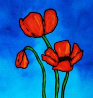 6329155_Bold_Red_Poppies_-_Colorful_Flowers_Art