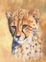 13933047_Cheetah_Cub