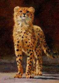 7919231_Cheetah_Cub