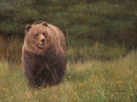 10437132_Grizzly