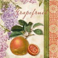 15048480_Summer_Citrus_Grapefruit