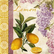15048482_Summer_Citrus_Lemon