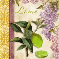 15048484_Summer_Citrus_Lime
