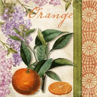 15048503_Summer_Citrus_Orange