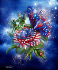15429246_Star_Spangled_Butterfly