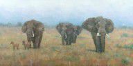 3518872_Kenyan_Elephants