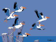 1373496_abstract_Pelicans_seascape_tropical_pop_art_nouveau_1980s_florida_birds_large_retro_painting