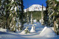 9050389_Mt_Rainier_At_Reflection_Lakes_In_Winter