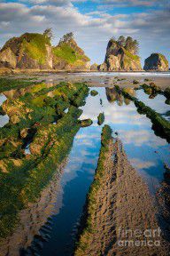 10279963_Low_Tide_At_Point_Of_The_Arches