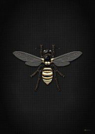 14148203_Black_Wasp_With_Gold_Accents_On_Black_Canvas