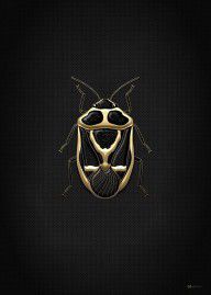 14148468_Black_Shieldbug_With_Gold_Accents_On_Black_Canvas