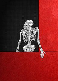 14223081_Memento_Mori_-_Silver_Human_Skeleton_On_Red_And_Black_Canvas