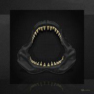 14696606_Great_White_Shark_-_Black_Jaws_With_Gold_Teeth_On_Black_Canvas