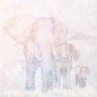 8630949_Elephants_-_Sketch